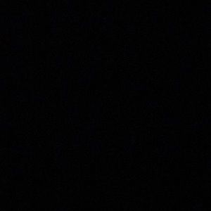 Meet your Posher, Brady